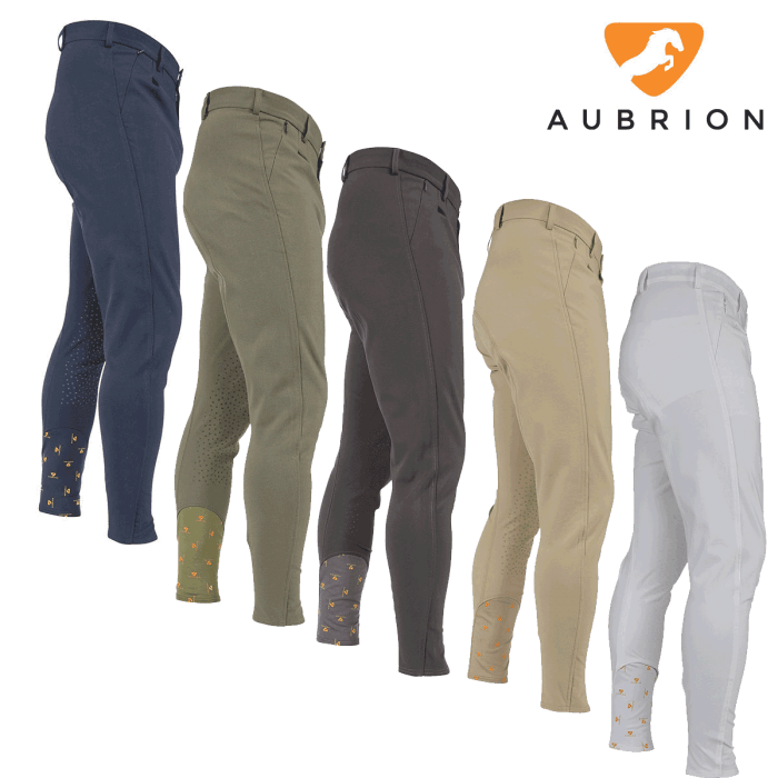 Aubrion Walton Pantalons Homme - SHOPHORSE